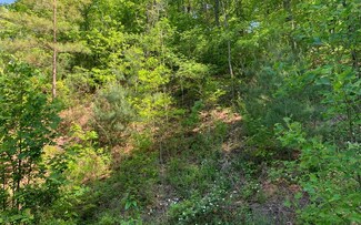 Lot 4A Trillium Hgts Dr, Hayesville, NC 28904