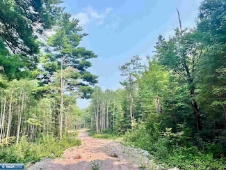 Parcel B Saint Louis Co 431, Cook, MN 55723