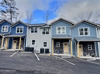 522 Lindsey Mill Cir Unit 3, Rocky Top, TN 37769