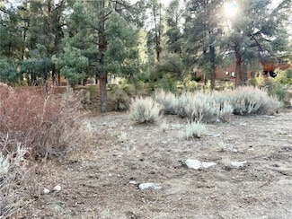 15500 Mil Potrero Hwy, Frazier Park, CA 93222