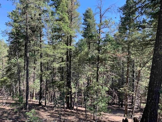 5&6 Blk 13 Lodge Spring Rd Unit 5&6, Cloudcroft, NM 88317