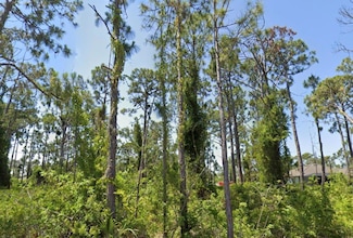 14209 Naylor Ave, Port Charlotte, FL 33981