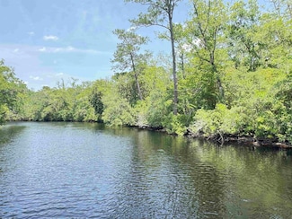 xx Maleah Ln, Sopchoppy, FL 32358
