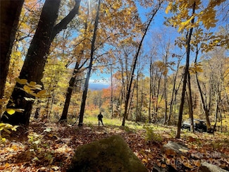 00000 New Sprout Ln Unit 1, Hendersonville, NC 28792