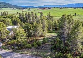 435 Wilhelm Creek Ct Unit 73, McCall, ID 83638