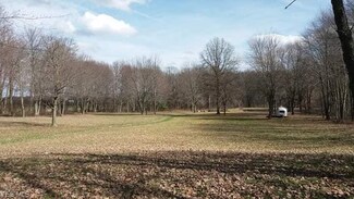 11500 Detwiler Rd, Columbiana, OH 44408