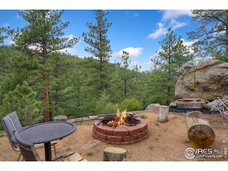 272 Mount Alice Ct, Livermore, CO 80536