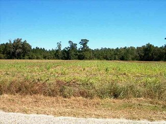 TBD Williamson Rd Unit Indiantown, Cades, SC 29518