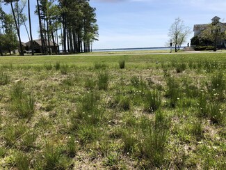 Lot #88 E Dowry Creek, Pantego, NC 27810
