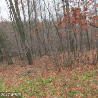 0 Avilton Lonaconing Rd Unit 1003914181, Lonaconing, MD 21539