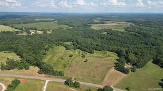 00005 County Road 40, Billingsley, AL 36006