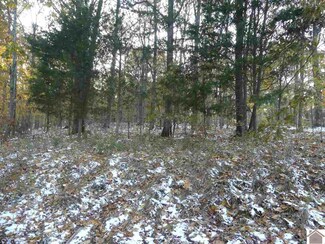 118 Waterway Trail Unit Lot 118 Waterway Tr, New Concord, KY 42076