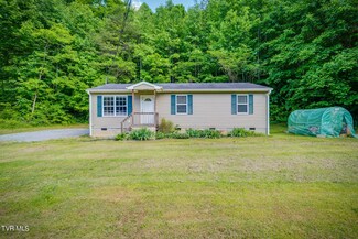 6096 Kingsport Hwy, Afton, TN 37616