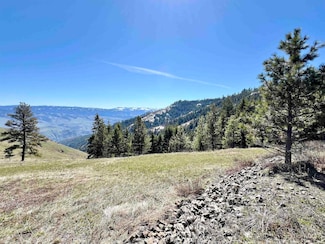 TBD Lot 50 Twin River Ranch III, White Bird, ID 83554