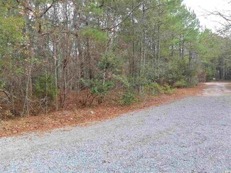 00 Gertrude Dr, Pawleys Island, SC 29585