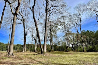 6624 Joe Daniel Rd, St. Francisville, LA 70775