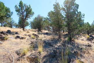 Lot 84 Wildhorse Rd Unit 9, Weed, CA 96094