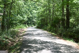 0 Jones Rd Unit 10551677, Milner, GA 30257