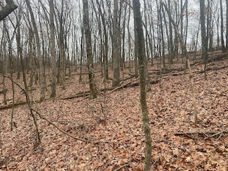34 Motley Rd, Loutre Township, MO 65041