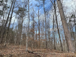0 Raccoon Branch Rd, Jasper, AL 35504
