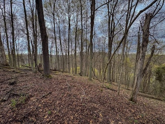 0 Little Creek, Creston, WV 26141