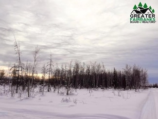 NHN Richardson Hwy, North Pole, AK 99705