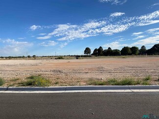 1031 W Cambridge, Hobbs, NM 88240