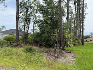 0 5th Ave Unit MFRV4943064, Deland, FL 32724