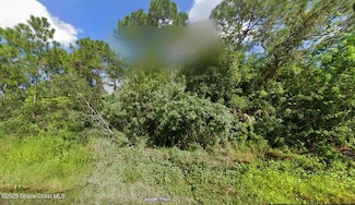 725 Geoffrey Ave SW, Palm Bay, FL 32908