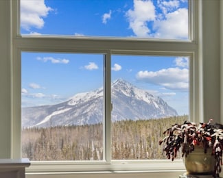 61 Cydney Ln Unit A, Silverthorne, CO 80498