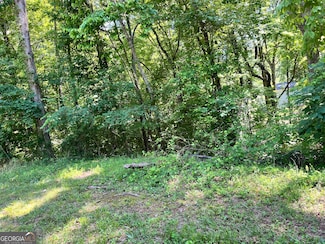 0 Thunder Trail Unit 10306581, Gainesville, GA 30506