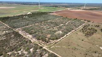 29101 E Russell Rd, Edinburg, TX 78542