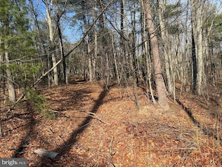 0 5 6 Cooper Mountain View, Capon Bridge, WV 26711