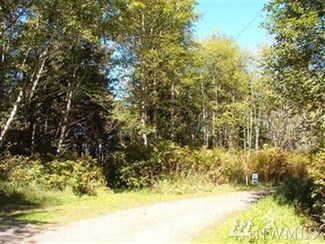 35 Fir Place, Copalis Beach, WA 98535