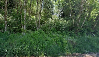 8 Minkler Rd, Montesano, WA 98563