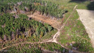 1 Truitt Rd, Pickens, MS 39146