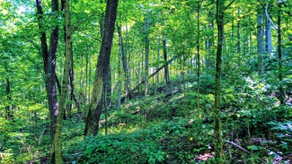 3181 E Geyman Hill Rd, Madison, IN 47250