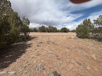 8659 Coronado Dr, Show Low, AZ 85901