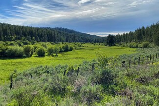 Lot 14 Pine Meadows Ct Unit 14, New Meadows, ID 83654