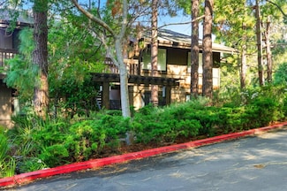 3329 Brittan Ave Unit 1, San Carlos, CA 94070