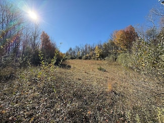 Willowdale Rd Unit LotWP001, MacEdon, NY 14502