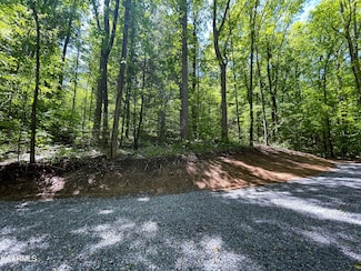 0 Cosby Hwy Unit 1181720, Cosby, TN 37722