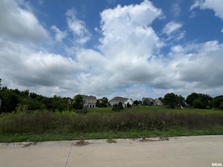 Lot 1 248th Ave, Bettendorf, IA 52722