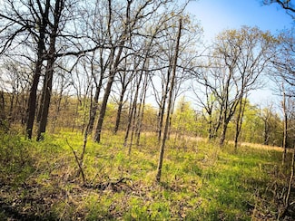0 Tim Rd Unit 24110803, Edwards, MO 65326