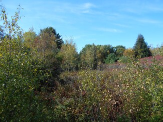 lot 0 Bradley Rd, Bradley, ME 04411