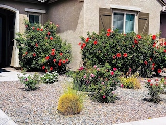 2516 E Kingbird Dr, Gilbert, AZ 85297