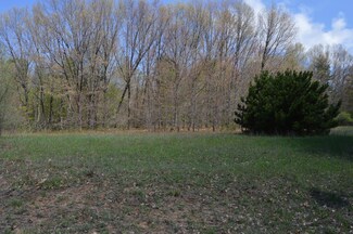 52 & 53 Birch Ln, Pentwater, MI 49449