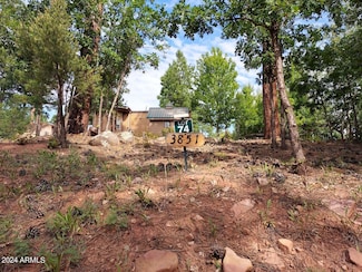 3851 S Mule Skinner Loop Unit 74, Show Low, AZ 85901