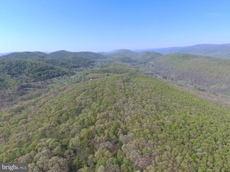 0 100 Acres Hooker Hollow Rd, Keyser, WV 26726