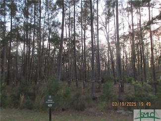 179 Wood Haven Ln, Pooler, GA 31322